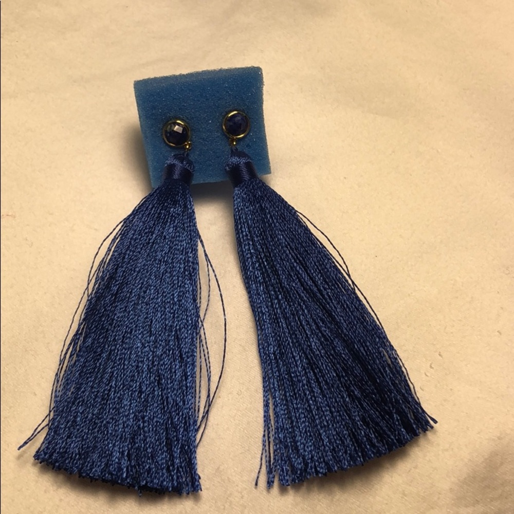 Royal Blue Steve Madden Earrings
